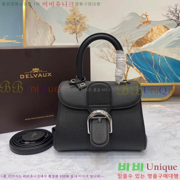 #���� �긮�ӹ� �̴� DV0020-6